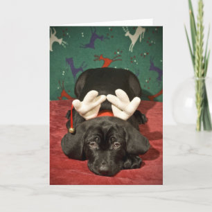 Perrito triste del navidad