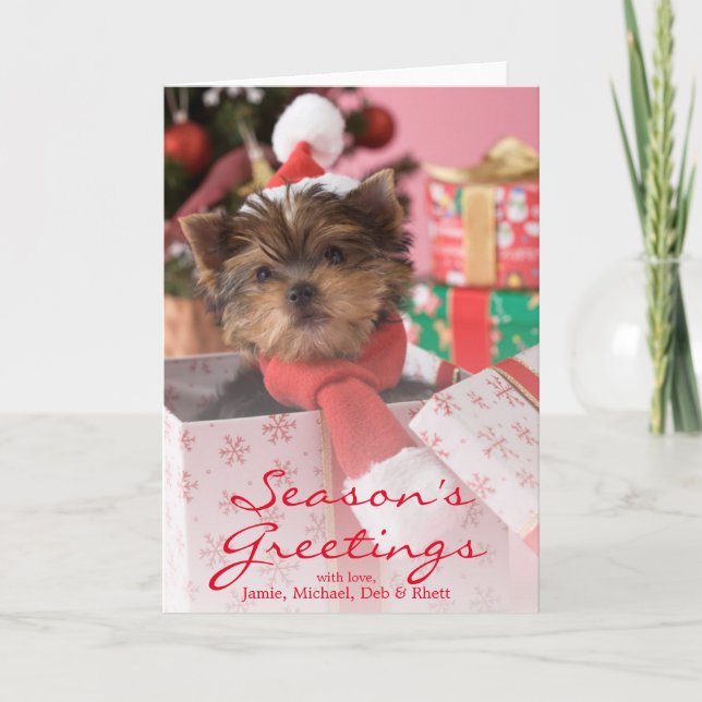 Perrito y navidad 2 de Yorkshire Terrier (Anverso)