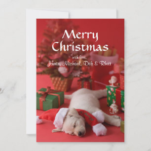 Perrito y navidad 2 del golden retriever