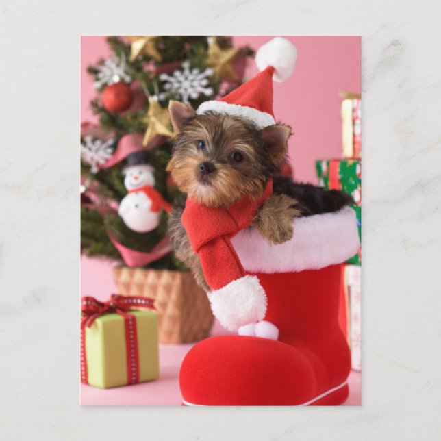 Perrito y navidad de Yorkshire Terrier (Anverso)