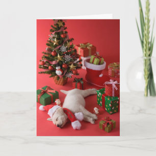 Perrito y navidad del golden retriever