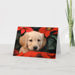 Perrito y tarjeta de Navidad de oro de Poinsetta