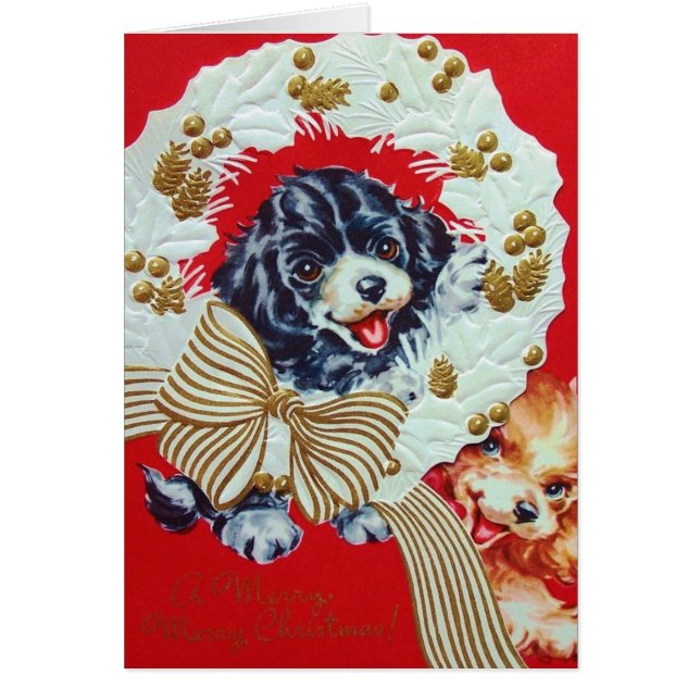 Perritos adorables de cocker spaniel del navidad (Frente)