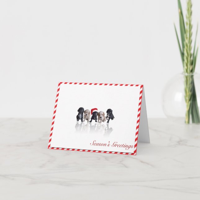 Perritos de cocker spaniel en tarjeta de Navidad (Anverso)