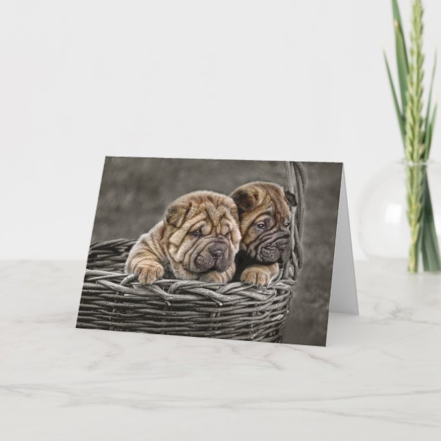 Perritos de Shar-Pei en tarjeta de felicitación de (Anverso)