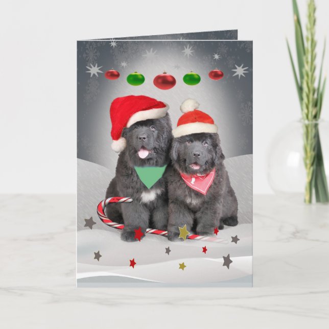 Perritos de Terranova Felices Navidad (Anverso)