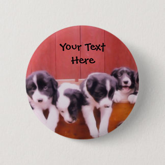 Perritos del border collie en botón del cajón