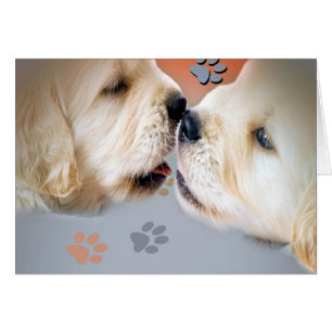 Perritos del golden retriever que besan tarjetas