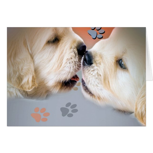 Perritos del golden retriever que besan tarjetas (Anverso (Horizontal))