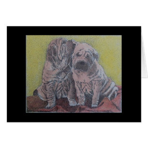 perritos del sharpei