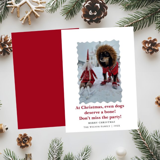 Perritos Divertidos y Lindos Tarjeta de Navidad y  (Subido por el creador)