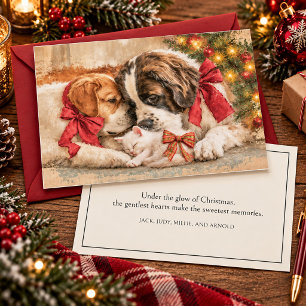 Perritos Perros Gatito Amor Navidad 