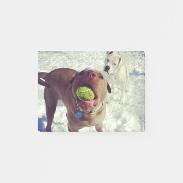 Perritos que juegan el cuaderno de notas de la (Anverso)