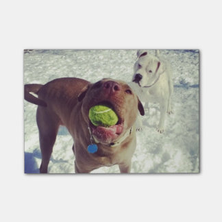 Perritos que juegan el cuaderno de notas de la