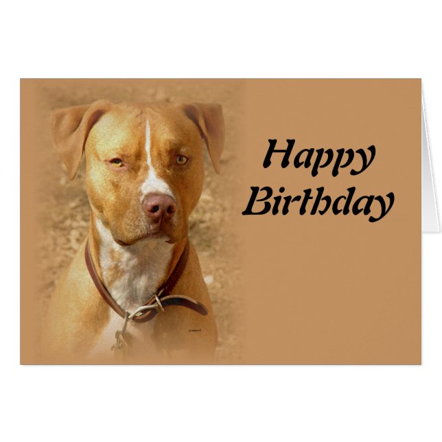 perro (Anverso (Horizontal))