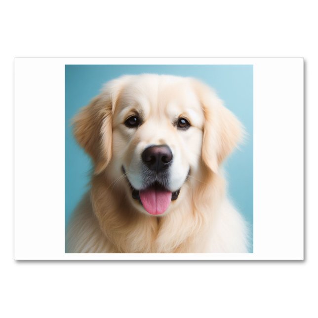 Perro (狗 / gu) - Tarjetas flash chinas (Anverso)