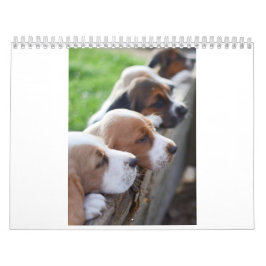 perro 2019 de afloramiento del calendario