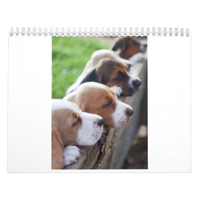 perro 2019 de afloramiento del calendario (Tapa)