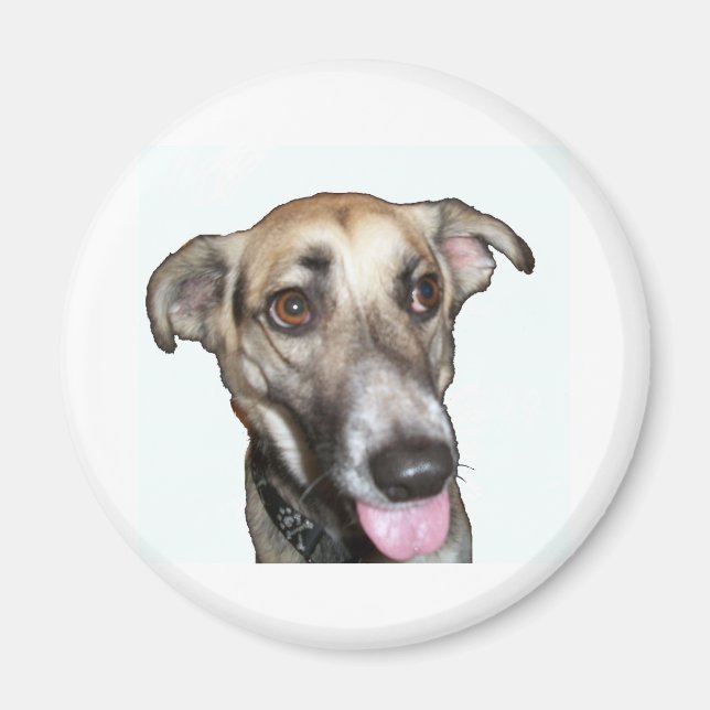 Perro 2, imán (Frente)