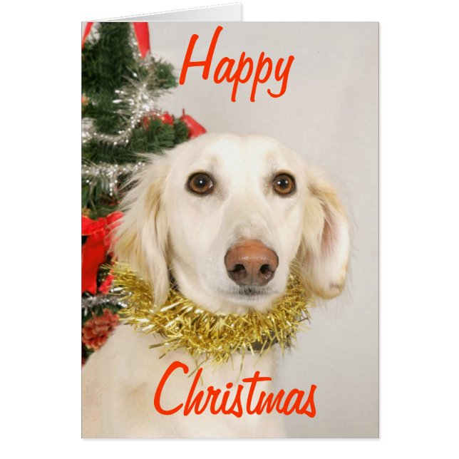 Perro 2 navidades (Frente)