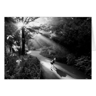 Perro a la luz del sol matutino