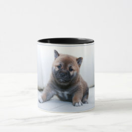 Perro adorable Akita cachorro, taza de café
