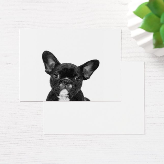 Perro Adorable | Cara de Bulldog francesa negra (Escritorio)