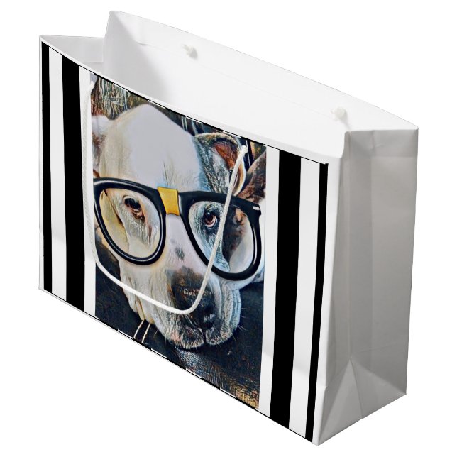 Perro Adorable Con Bolsa De Regalo De Gafas  (Angulo Anverso)