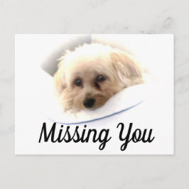 Perro Adorable Que Te Falta Postal