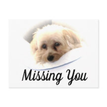 Perro Adorable Que Te Falta Postal