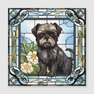Perro Affenpinscher