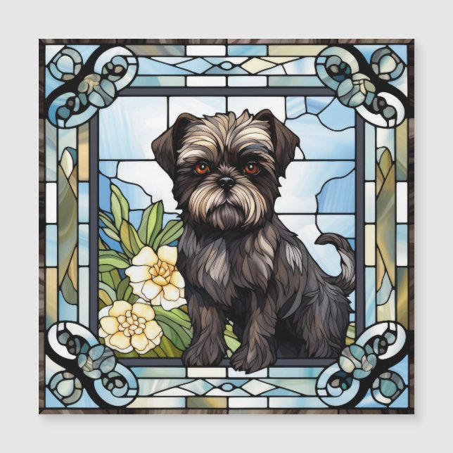 Perro Affenpinscher (Anverso)