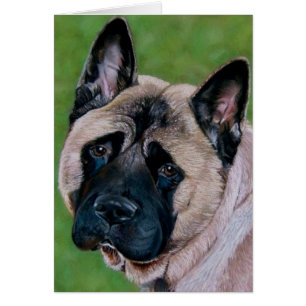 perro akita con cara negra diciendo lo siento