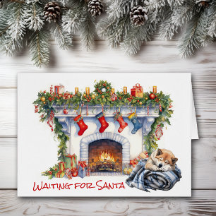 Perro Akita espera a Santa