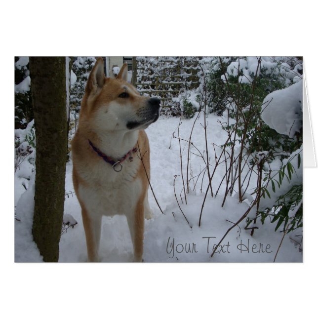 Perro akita japonés en la nieve en los navidades (Anverso (Horizontal))
