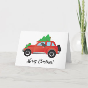 Perro andulado afgano - auto con árbol de Navidad