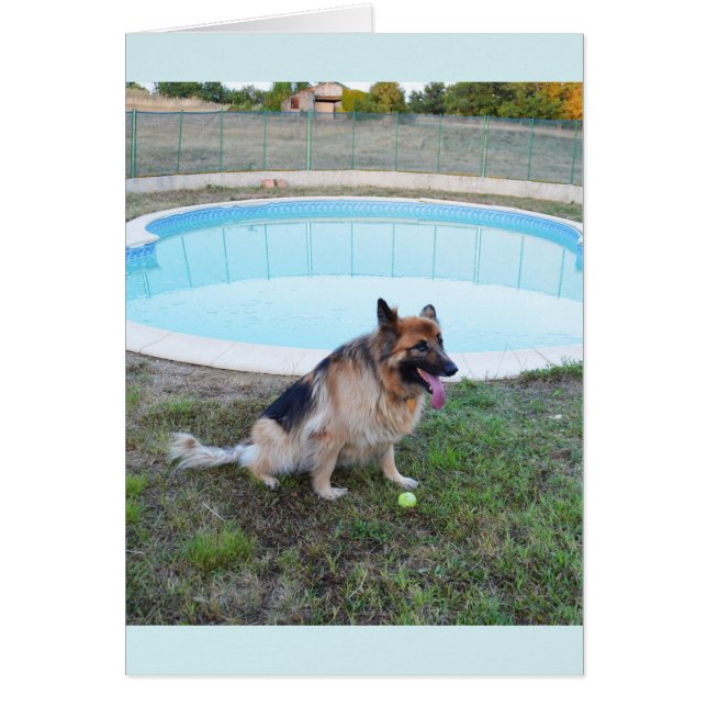Perro ángel sentado con una pelota (Frente)
