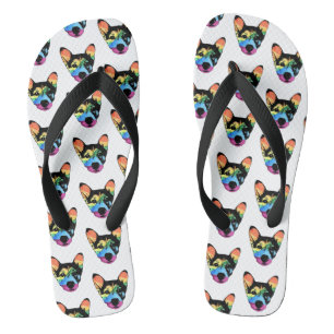 Perro arcoiris, chanclas
