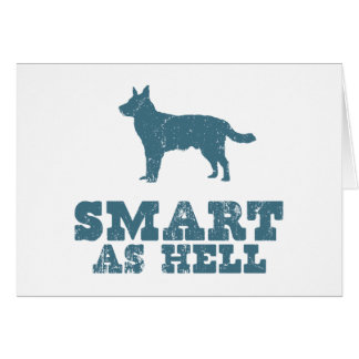 Perro australiano del ganado