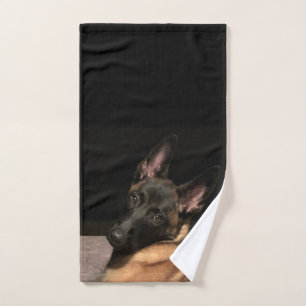 Perro belga malinois