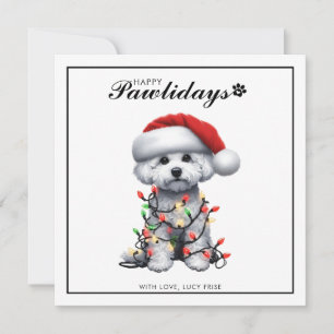 Perro Bichon Frise Envuelto En Luces De Navidad