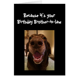 Perro Big Nose Divertido cumpleaños Perro cuñado