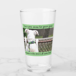 Perro blanco de Nosey que mira el césped de otros