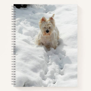 Perro blanco occidental en el diario de la novela