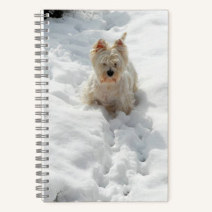 Perro blanco occidental en el diario de la novela