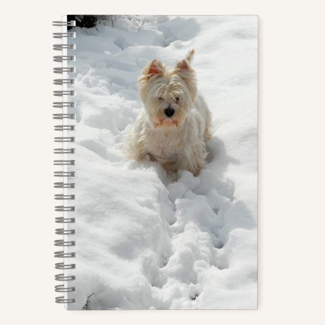 Perro blanco occidental en el diario de la novela (Anverso)