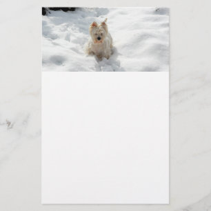 Perro blanco occidental en papel de tontería de ni
