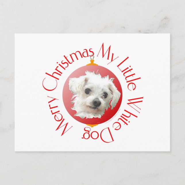Perro blanco pequeño de Navidad maltés (Anverso)