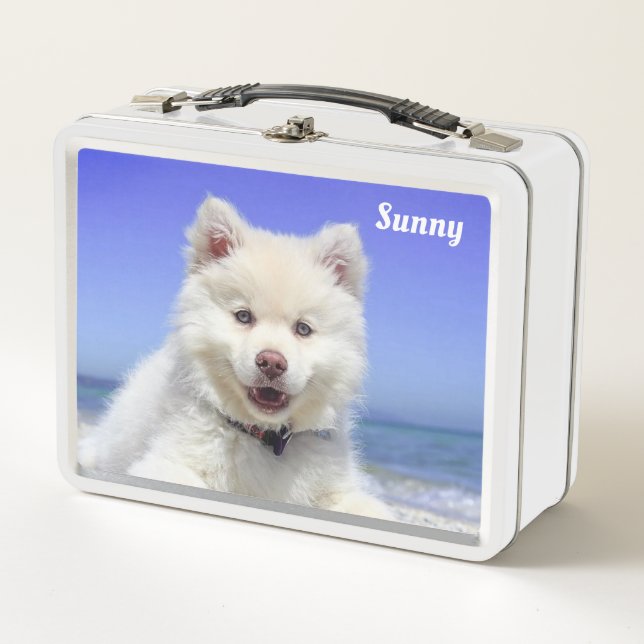 Perro blanco samoyado en azul claro (Anverso)