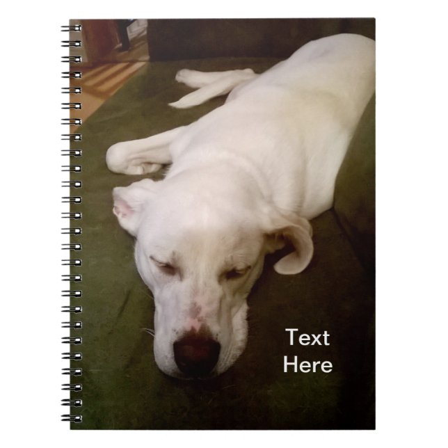 Perro blanco somnoliento Cuaderno verde (Frente)